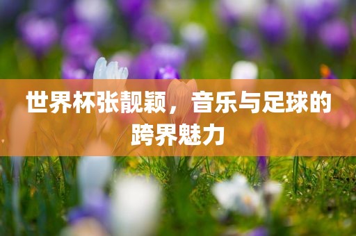世界杯张靓颖，音乐与足球的跨界魅力