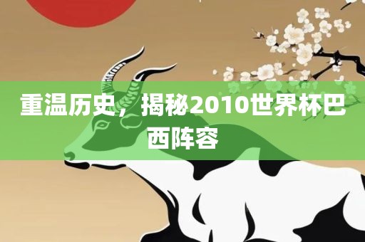 重温历史，揭秘2010世界杯巴西阵容