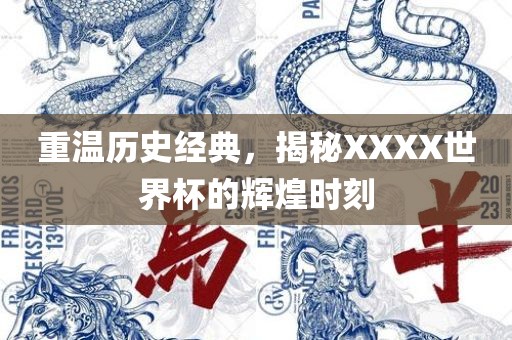 重温历史经典，揭秘XXXX世界杯的辉煌时刻