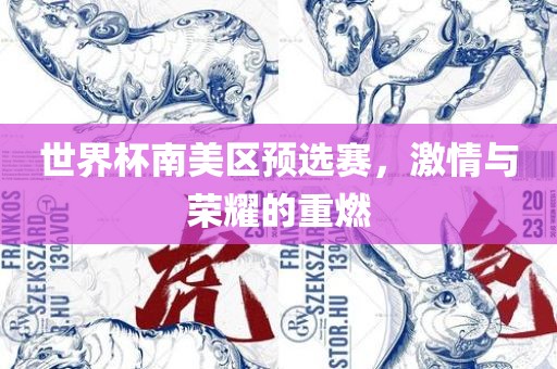 世界杯南美区预选赛，激情与荣耀的重燃