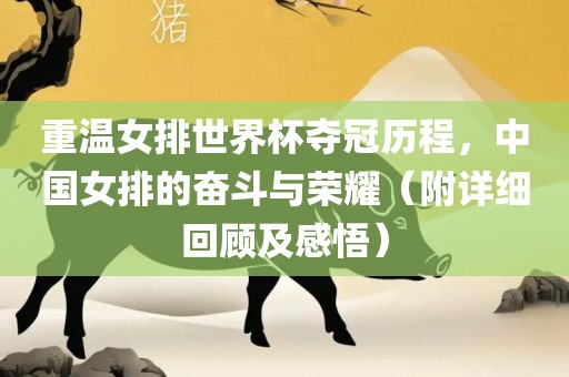 重温女排世界杯夺冠历程，中国女排的奋斗与荣耀（附详细回顾及感悟）