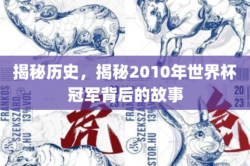揭秘历史，揭秘2010年世界杯冠军背后的故事