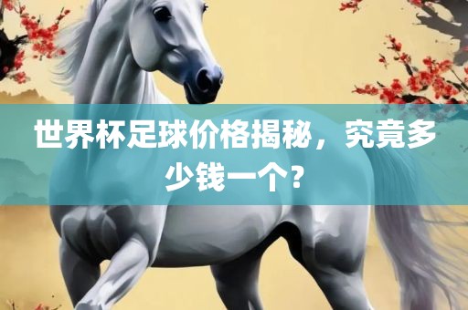 世界杯足球价格揭秘，究竟多少钱一个？
