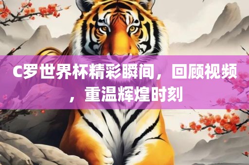 C罗世界杯精彩瞬间，回顾视频，重温辉煌时刻