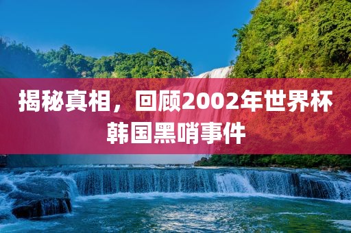 揭秘真相，回顾2002年世界杯韩国黑哨事件