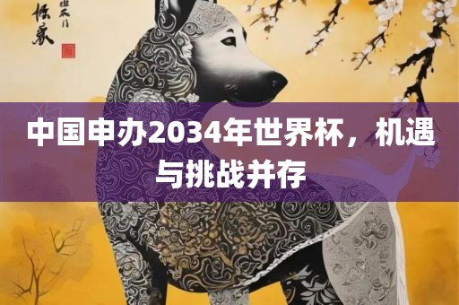 中国申办2034年世界杯，机遇与挑战并存