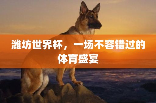 潍坊世界杯，一场不容错过的体育盛宴