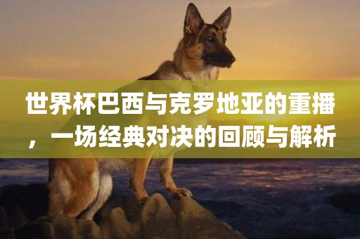 世界杯巴西与克罗地亚的重播，一场经典对决的回顾与解析