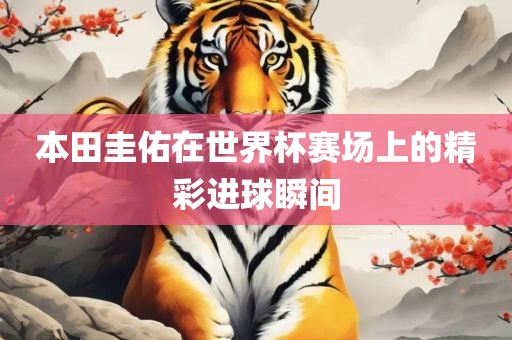 本田圭佑在世界杯赛场上的精彩进球瞬间