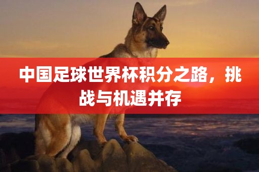 中国足球世界杯积分之路，挑战与机遇并存