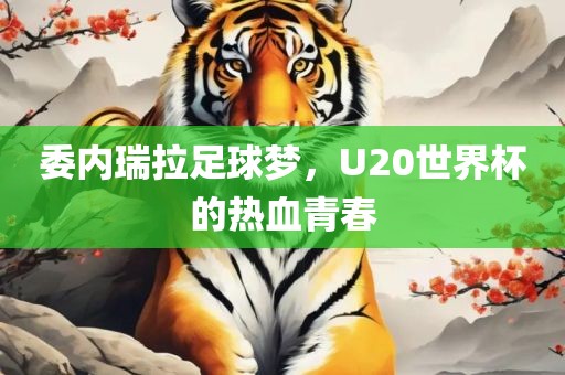 委内瑞拉足球梦，U20世界杯的热血青春
