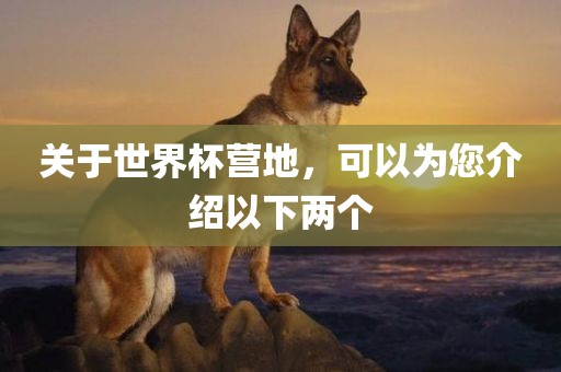 关于世界杯营地，可以为您介绍以下两个金炬实业股份有限公司
