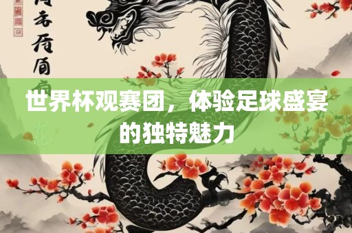 世界杯观赛团，体验足球盛宴的独特魅力