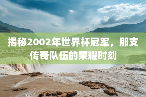 揭秘2002年世界杯冠军，那支传奇队伍的荣耀时刻