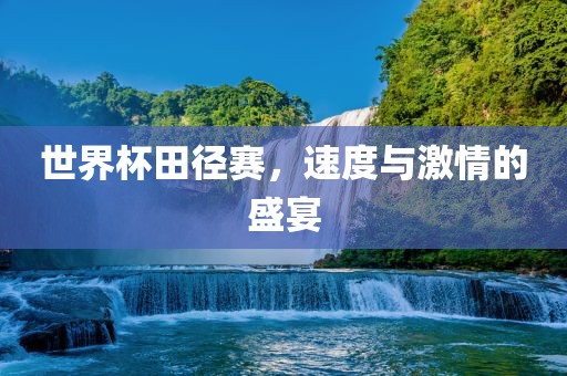世界杯田径赛，速度与激情的盛宴