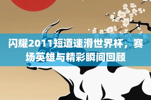 闪耀2011短道速滑世界杯，赛场英雄与精彩瞬间回顾
