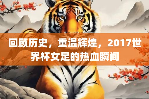 回顾历史，重温辉煌，2017世界杯女足的热血瞬间