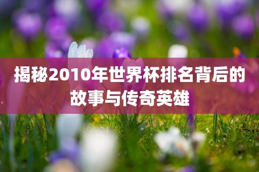 揭秘2010年世界杯排名背后的故事与传奇英雄