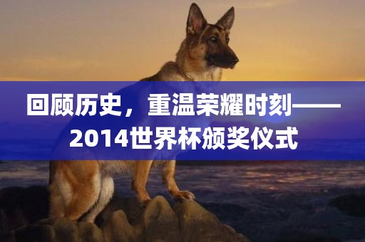 回顾历史，重温荣耀时刻——2014世界杯颁奖仪式