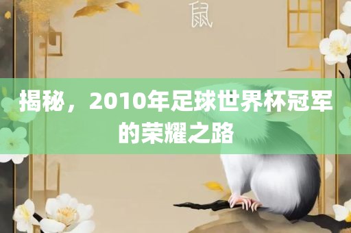 揭秘，2010年足球世界杯冠军的荣耀之路