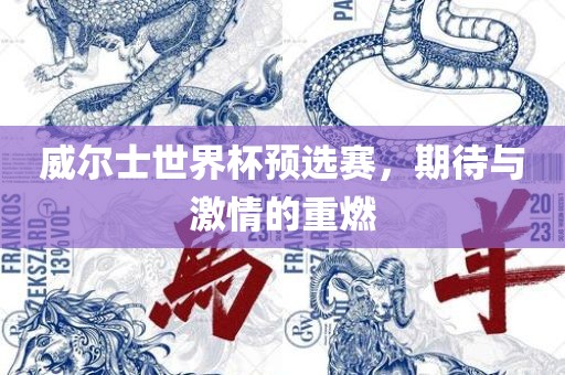 威尔士世界杯预选赛，期待与激情的重燃