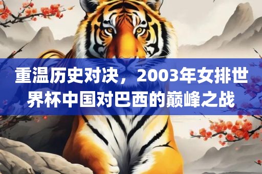 重温历史对决，2003年女排世界杯中国对巴西的巅峰之战