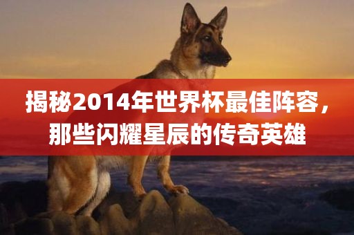 揭秘2014年世界杯最佳阵容，那些闪耀星辰的传奇英雄