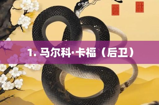 1. 马尔科·卡福（后卫）