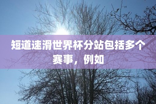 短道速滑世界杯分站包括多个赛事，例如