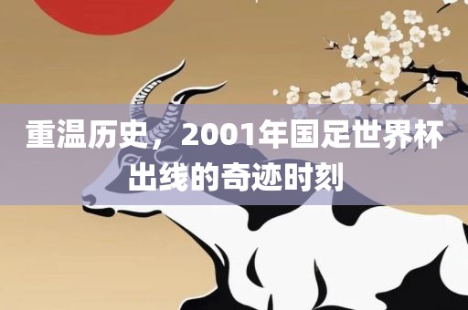 重温历史，2001年国足世界杯出线的奇迹时刻