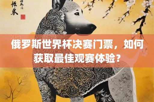 俄罗斯世界杯决赛门票，如何获取最佳观赛体验？