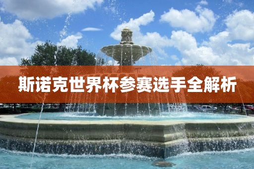 斯诺克世界杯参赛选手全解析