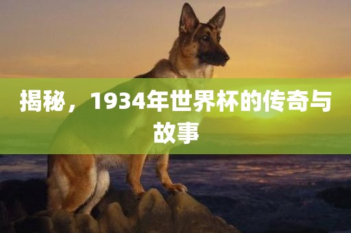 揭秘，1934年世界杯的传奇与故事