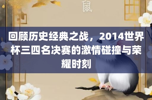 回顾历史经典之战，2014世界杯三四名决赛的激情碰撞与荣耀时刻