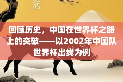 回顾历史，中国在世界杯之路上的突破——以2002年中国队世界杯出线为例