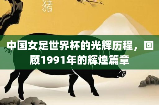 中国女足世界杯的光辉历程，回顾1991年的辉煌篇章