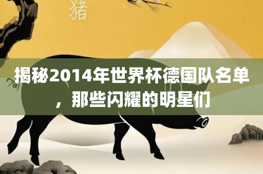 揭秘2014年世界杯德国队名单，那些闪耀的明星们