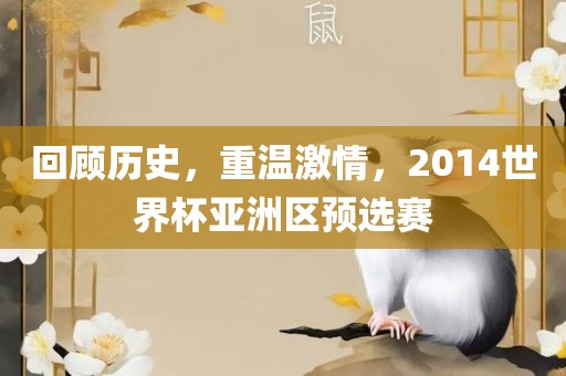 回顾历史，重温激情，2014世界杯亚洲区预选赛