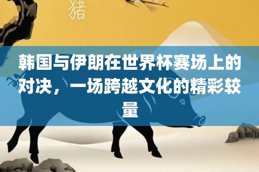 韩国与伊朗在世界杯赛场上的对决，一场跨越文化的精彩较量
