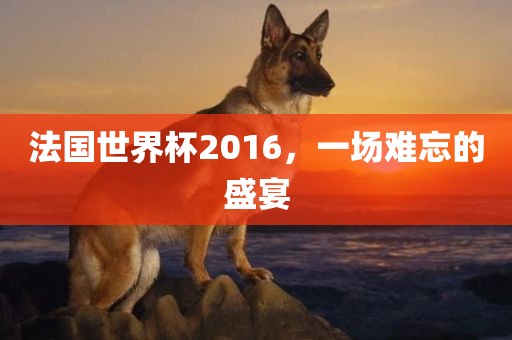 法国世界杯2016，一场难忘的盛宴