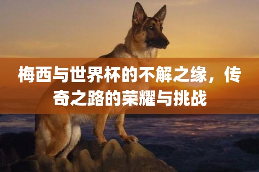 梅西与世界杯的不解之缘，传奇之路的荣耀与挑战