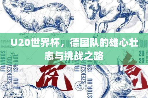 U20世界杯，德国队的雄心壮志与挑战之路