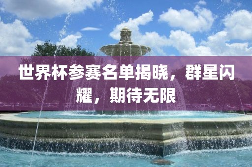 世界杯参赛名单揭晓，群星闪耀，期待无限