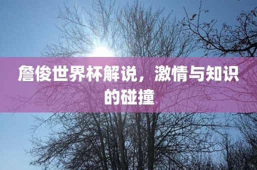 詹俊世界杯解说，激情与知识的碰撞