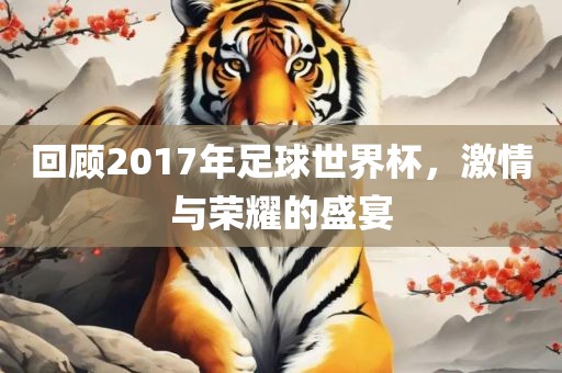 回顾2017年足球世界杯，激情与荣耀的盛宴