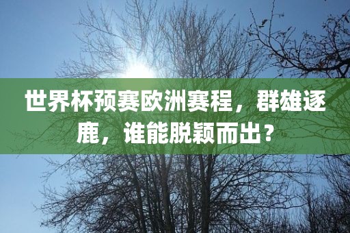 世界杯预赛欧洲赛程，群雄逐鹿，谁能脱颖而出？