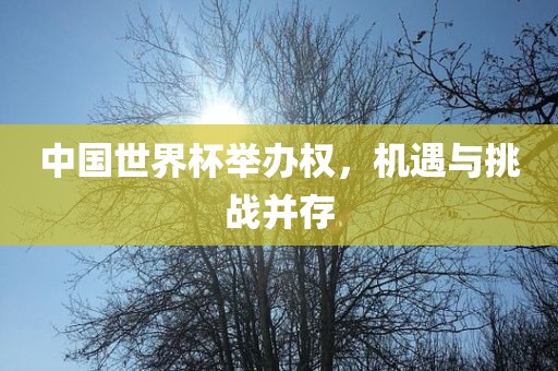 中国世界杯举办权，机遇与挑战并存