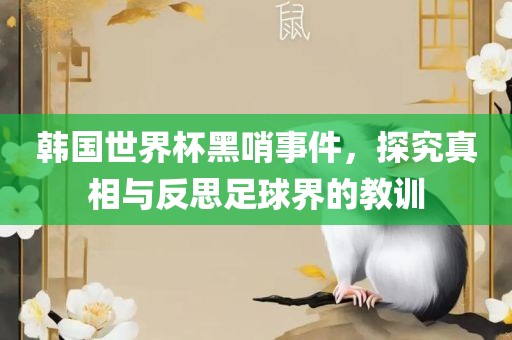 韩国世界杯黑哨事件，探究真相与反思足球界的教训