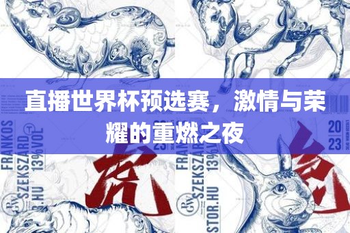 直播世界杯预选赛，激情与荣耀的重燃之夜