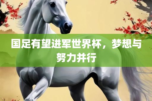 国足有望进军世界杯，梦想与努力并行